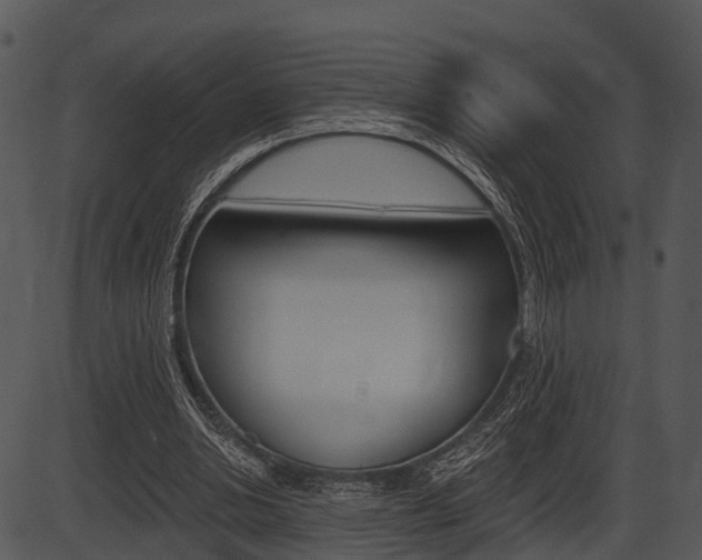 X0000087510438200704270758