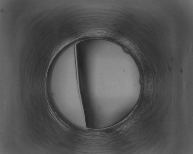 X0000087510439200704270758