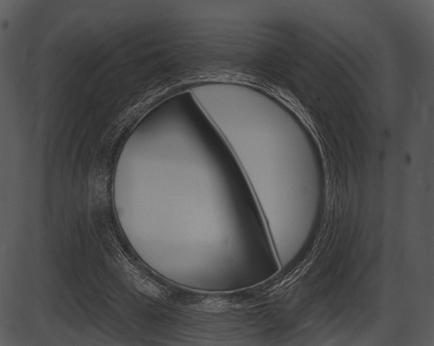 X0000087510441200704270758
