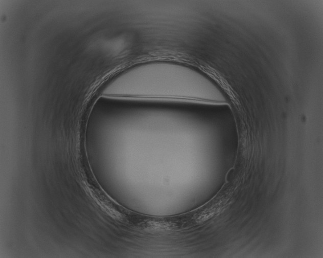 X0000087510442200704270758