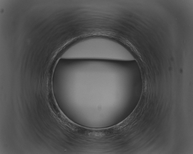 X0000087510444200704270758