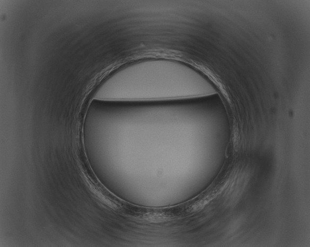 X0000087510445200704270758