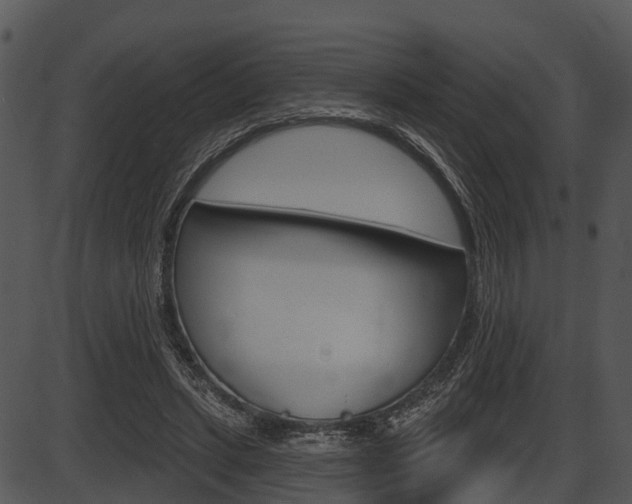 X0000087510447200704270758