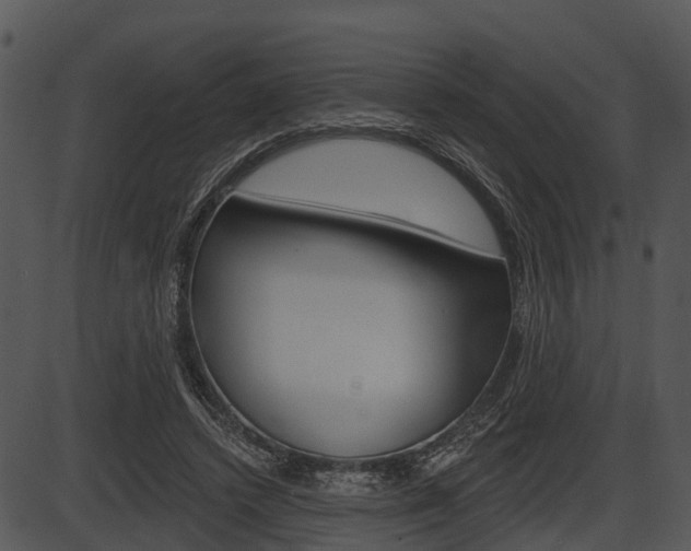 X0000087510448200704270758
