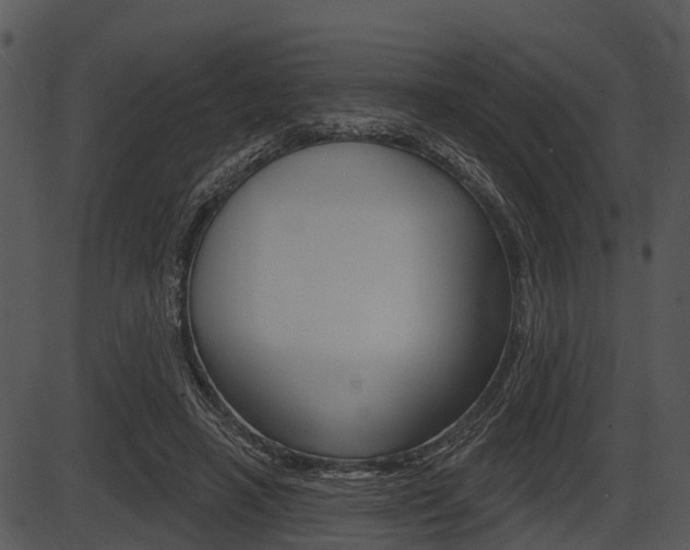 X0000087510450200704270758