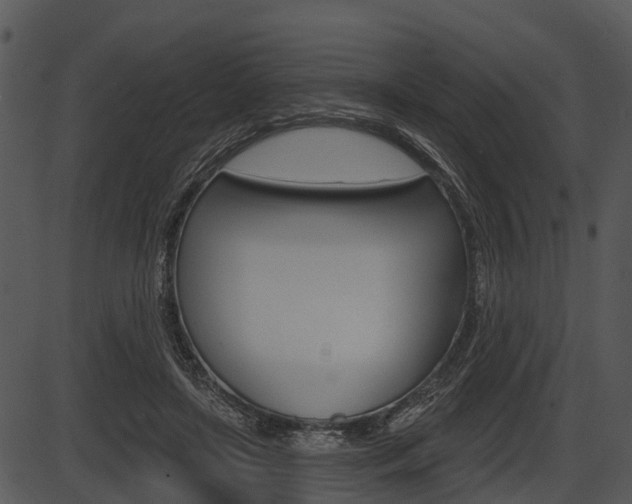 X0000087510451200704270758