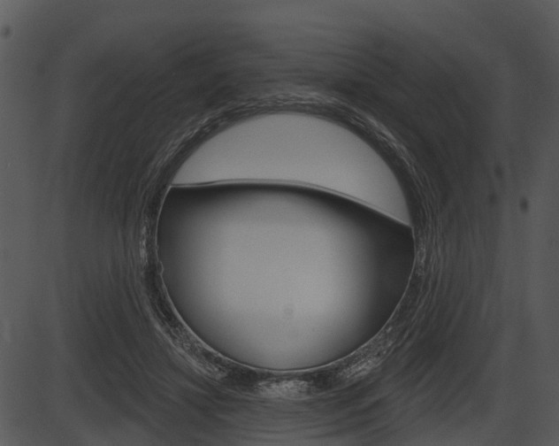 X0000087510452200704270758