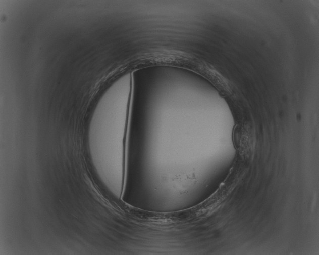 X0000087510454200704270758