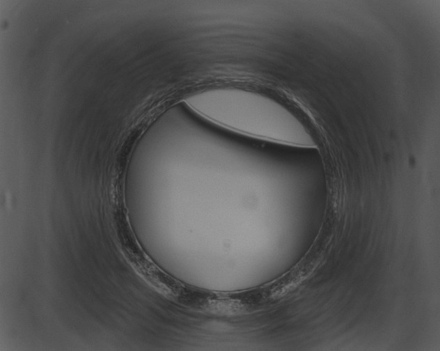 X0000087510455200704270758