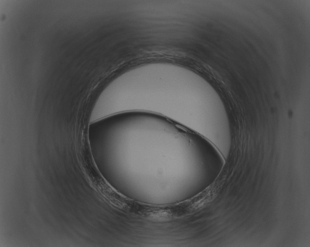 X0000087510456200704270758