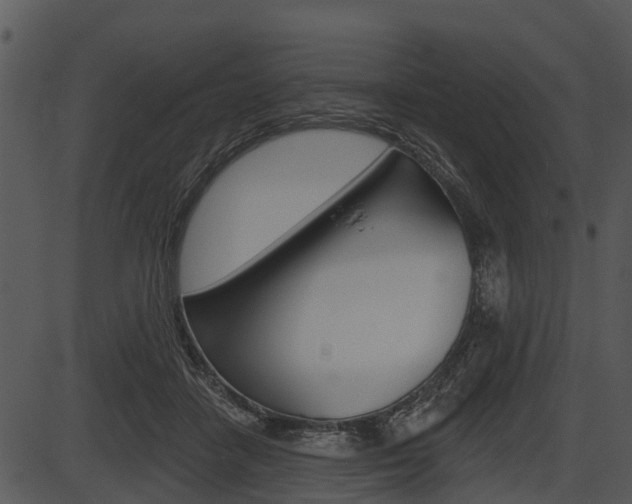 X0000087510458200704270758