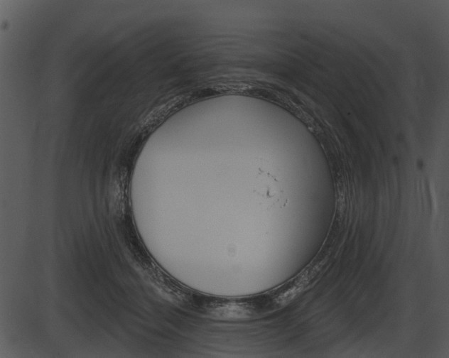 X0000087510460200704270758