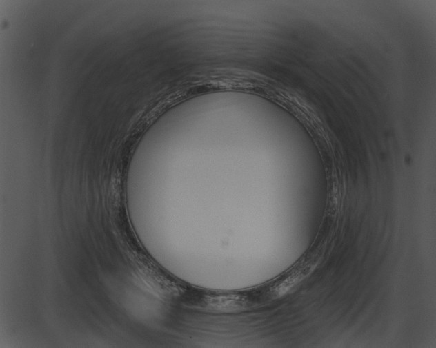 X0000087510461200704270758