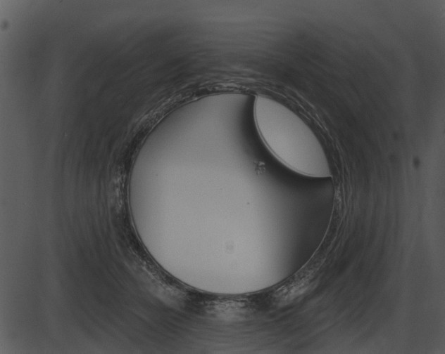 X0000087510462200704270758