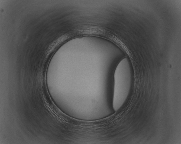 X0000087510482200704270757