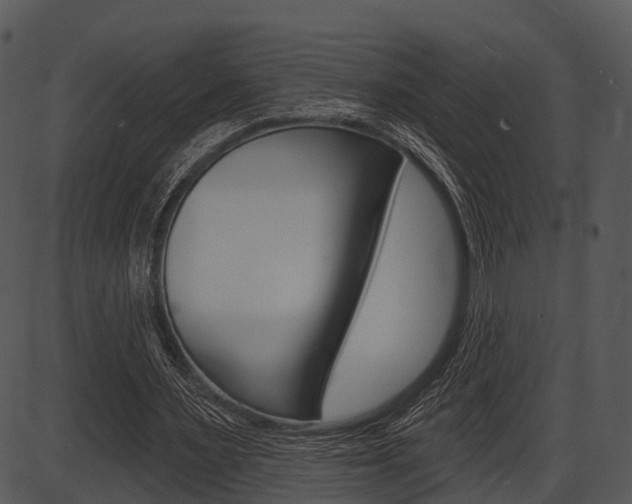 X0000087510483200704270757