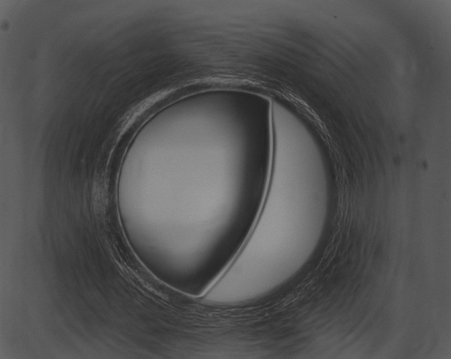 X0000087510484200704270757