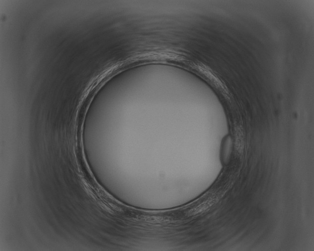 X0000087510486200704270757