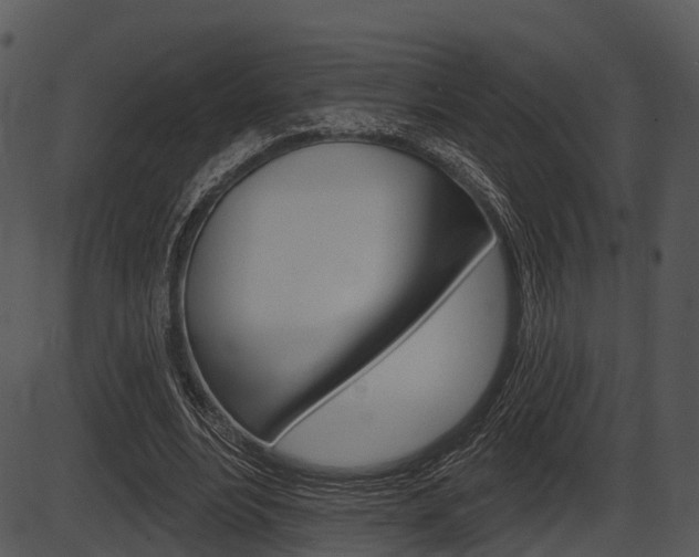 X0000087510488200704270757