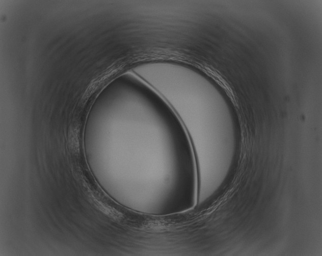 X0000087510489200704270757