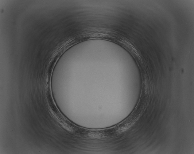 X0000087510490200704270757