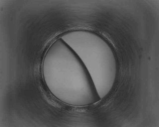 X0000087510491200704270757