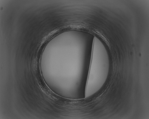 X0000087510492200704270757