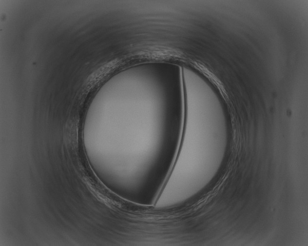 X0000087510493200704270757