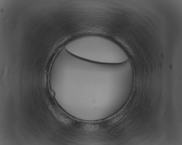 X0000087510494200704270757