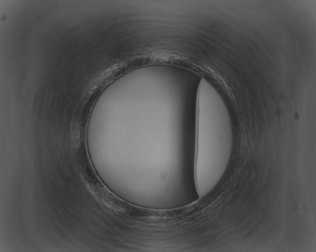 X0000087510496200704270757