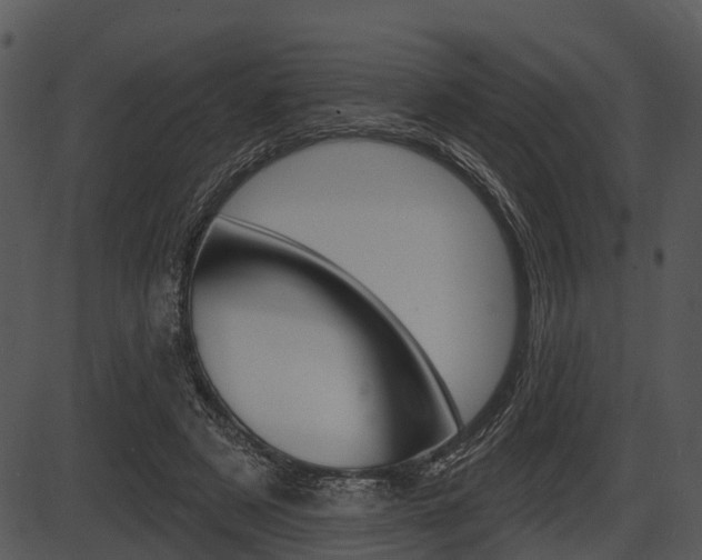X0000087510497200704270757