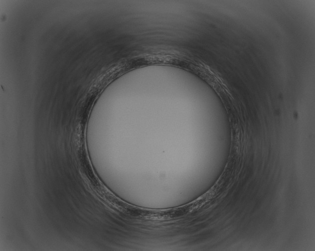 X0000087510498200704270757