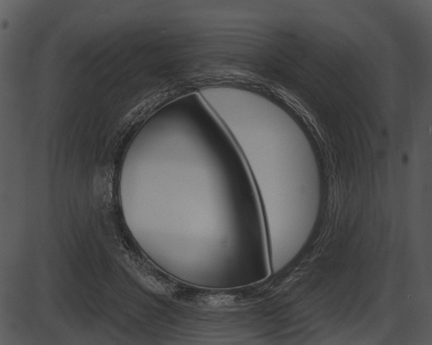 X0000087510501200704270757