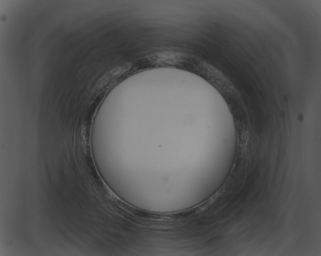 X0000087510506200704270757