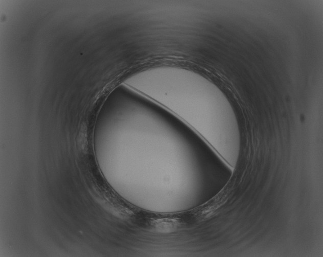 X0000087510508200704270757