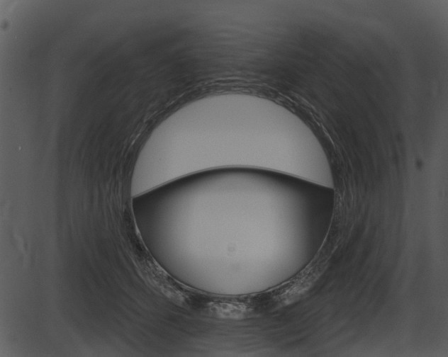 X0000087510512200704270757