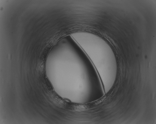 X0000087510513200704270757