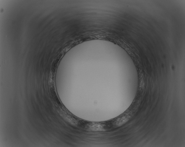 X0000087510518200704270757