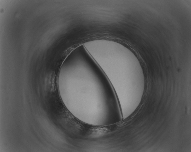 X0000087510525200704270757