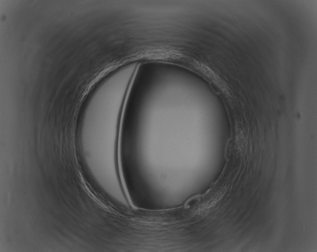 X0000087510530200704270756