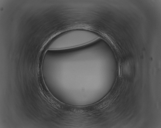 X0000087510531200704270756