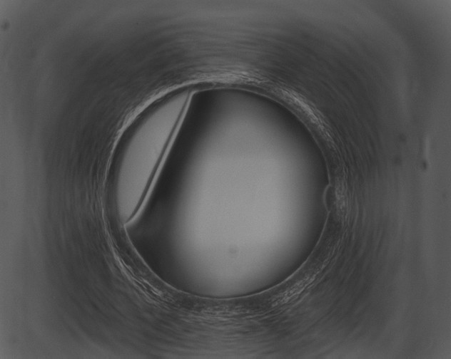 X0000087510532200704270756