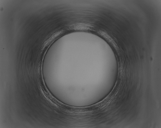 X0000087510533200704270756
