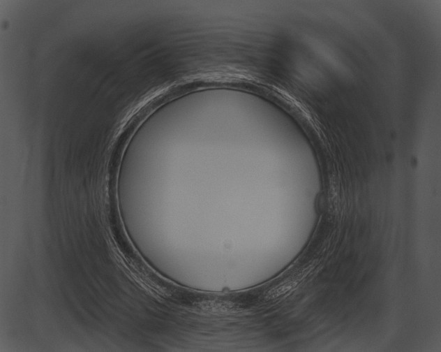 X0000087510535200704270756