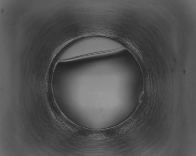 X0000087510536200704270756