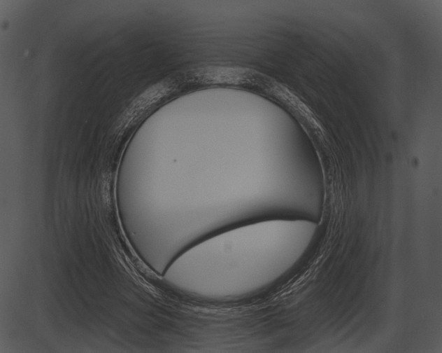 X0000087510537200704270756