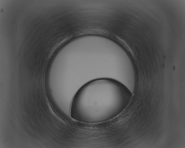 X0000087510538200704270756