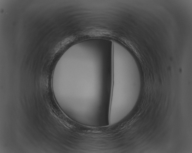 X0000087510539200704270756