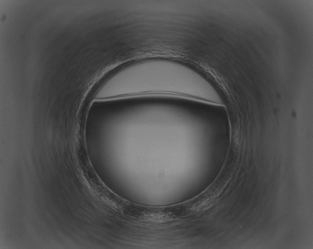 X0000087510540200704270756