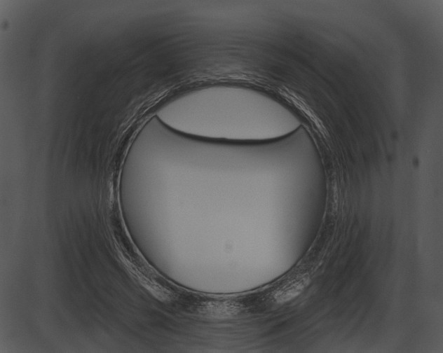 X0000087510541200704270756